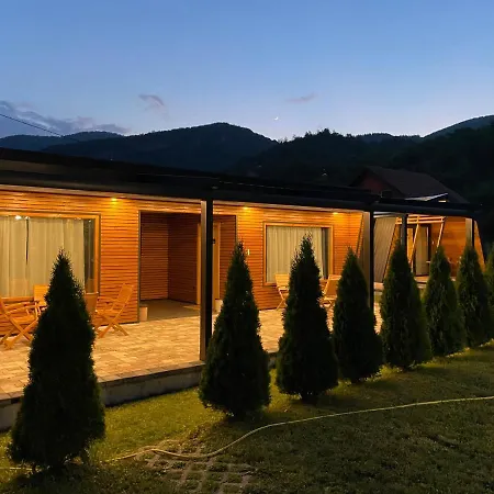 Alexandar * Mokra Gora