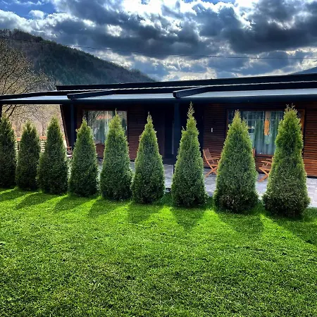 Alexandar * Mokra Gora