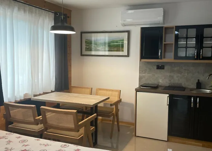 公寓 Alexandar 莫克拉戈拉